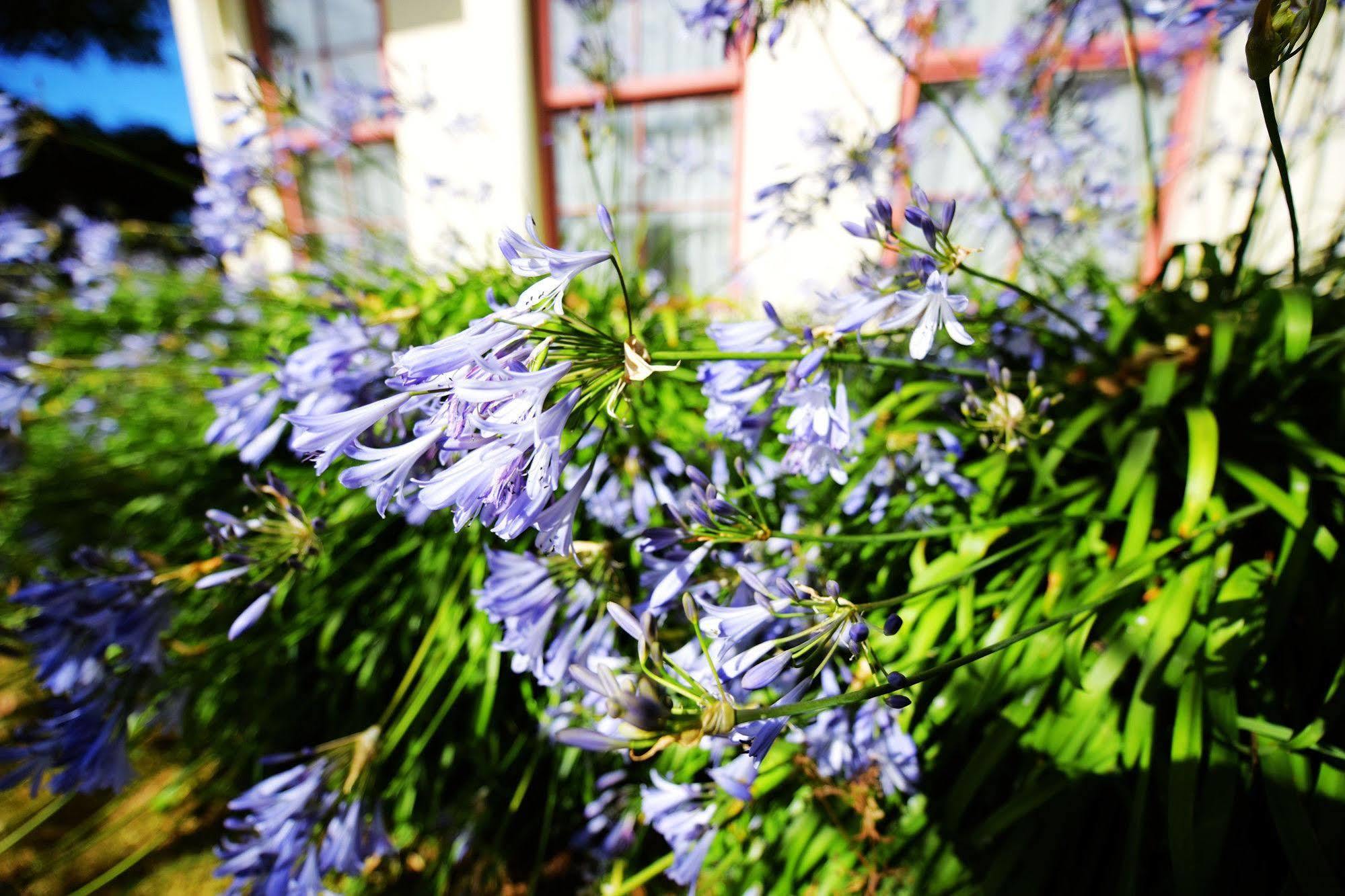 Addington Stadium Motel ไครสต์เชิร์ช ภายนอก รูปภาพ