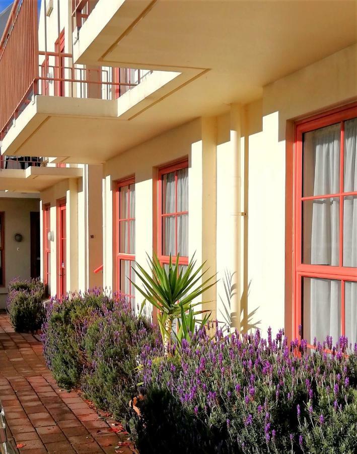 Addington Stadium Motel ไครสต์เชิร์ช ภายนอก รูปภาพ